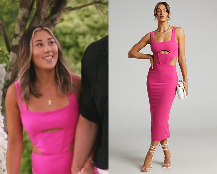 atoir-the-vista-dress-in-wild-pink